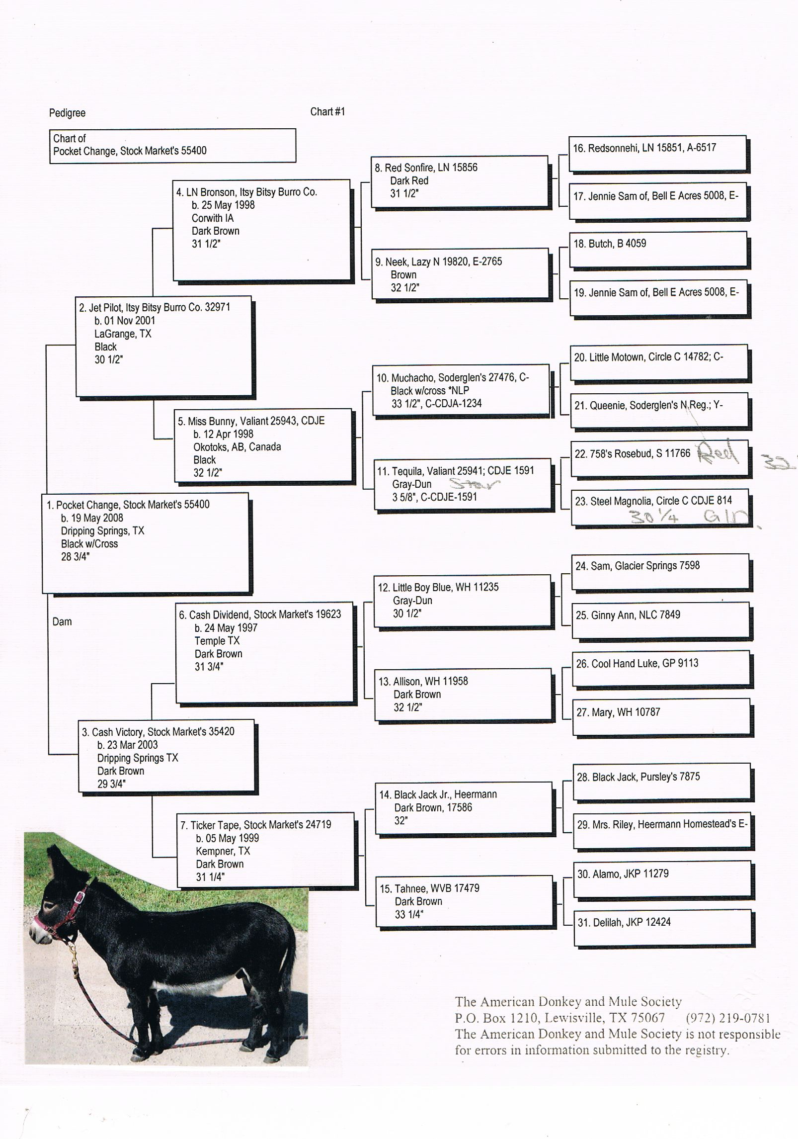 Stockmarket's_Pocket_Change_Pedigree_at_Poplargrove _Stud